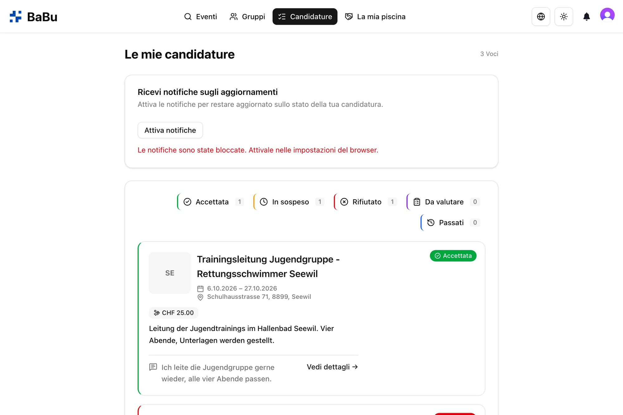 Panoramica delle tue candidature